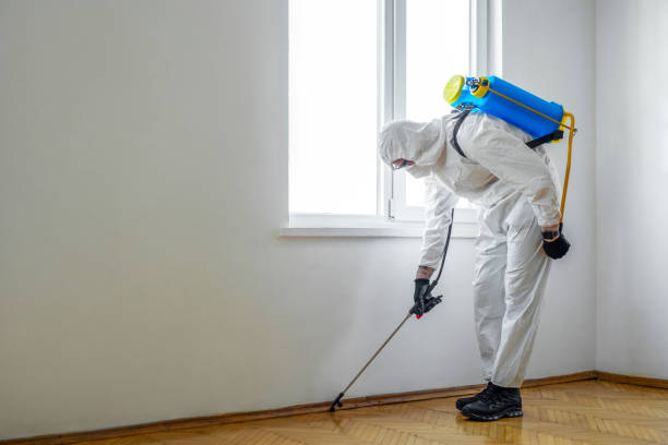 Best Ant Control Services  in Columbia City, OR