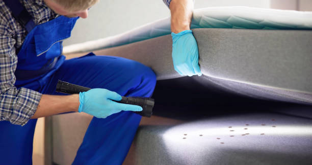 Pest Prevention Services in Columbia City, OR