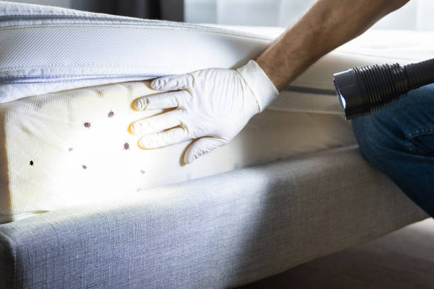 Best Pest Control Near Me in Columbia City, OR