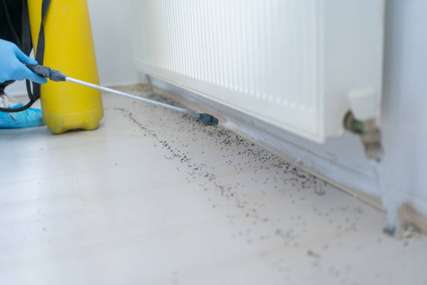 Best Affordable Pest Control Services  in Columbia City, OR